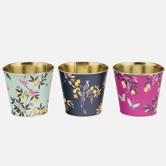 Orchard Plant Pots - Set of 3