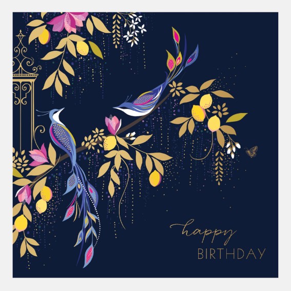 Orchard Navy Birds Birthday Card