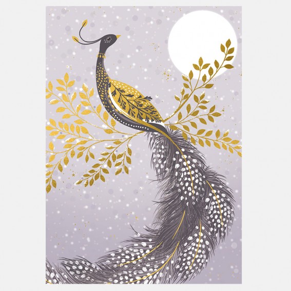 Snow Peacock Christmas Card