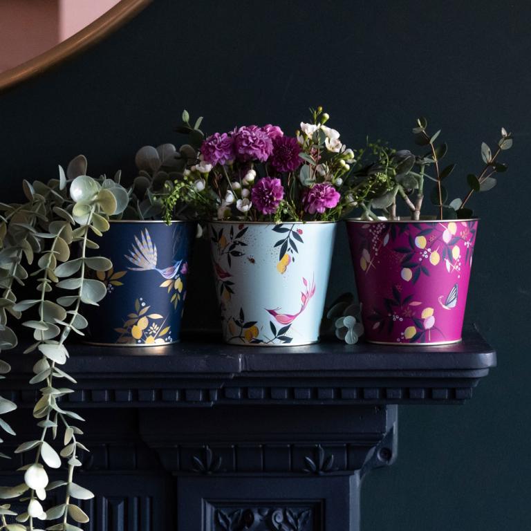Top Tips to Style Your Plant Pots